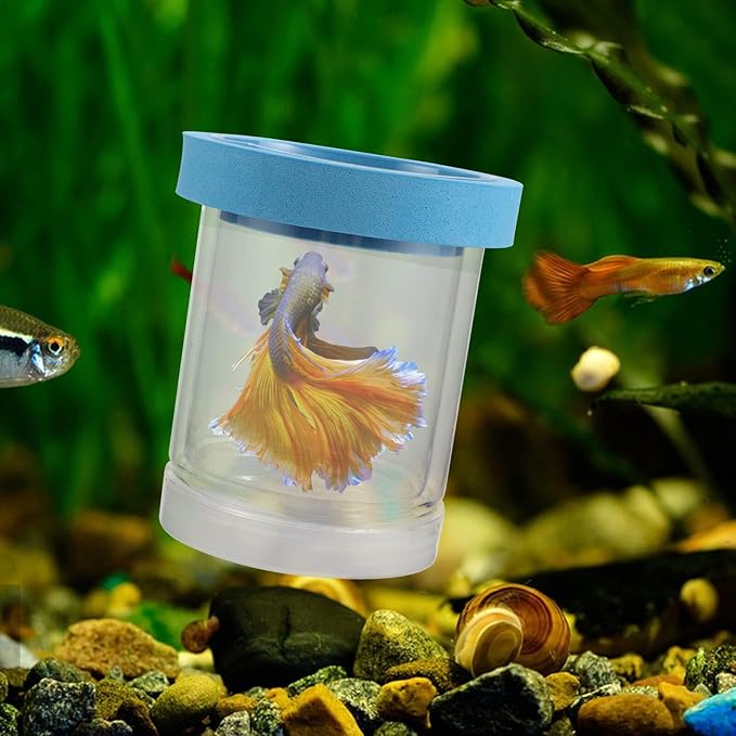 Happyyami 2pcs Fish Breeder Box Aquarium Isolation Box with Suction Cups Floating Acrylic Hatchery Incubator for Guppy Fry Betta Fish Tank Breeding Supplies