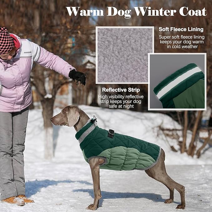 Lelepet Warm Dog Winter Coat Dog Coats for Small Dogs Waterproof Dogs Jacket with Harness Built in Reflective Cold Weather Coats Windproof Zip-Up Winter Fleece Vest Snowsuit Chihuahua Teal Green