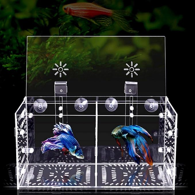 EVTSCAN Aquarium Breeder Box for Fish Tank, Fish Breeding Box Tank Hatchery Incubator Aquarium Isolation Box for Seedlings Incubation(M)