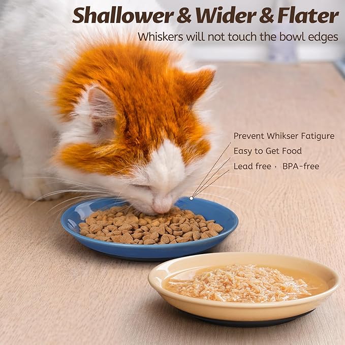 Colorful Cat Food Bowl,Non-Slip Silicone Bottom Cat Bowls for Indoor Cats,Anti Whisker Fatigue Cats Dishes Set,Shallow Wide Kitten Plates for Food and Water,4 Pack