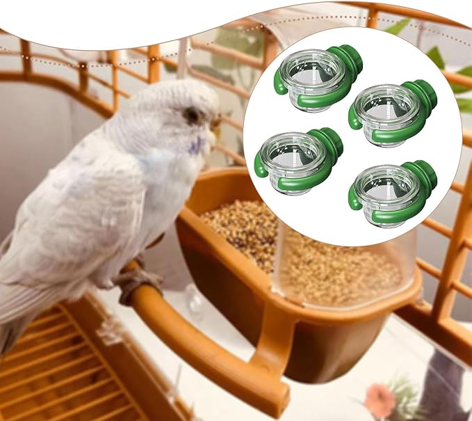 4 Pieces Bird Water Dispenser Decoration for Outside Sturdy Yard Transparent Multifunctional Professional Food Bowl Accessory, Green