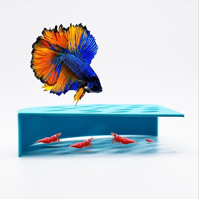 Corner Shrimp Guard to Prevent Predator Fish. Ultimate Breeding Protection for Shrimp in Betta Tank. Enhance Tank Harmony, 3.5" Diameter