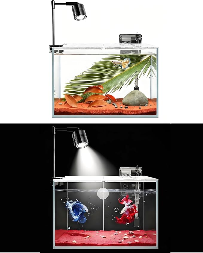 Fish Tank, 3 Gallon Ultra-Clear Glass Fish Aquarium, with Separator Plate for Betta, Fish Tank Starter kit with Filter and Adjustable Led Light, White