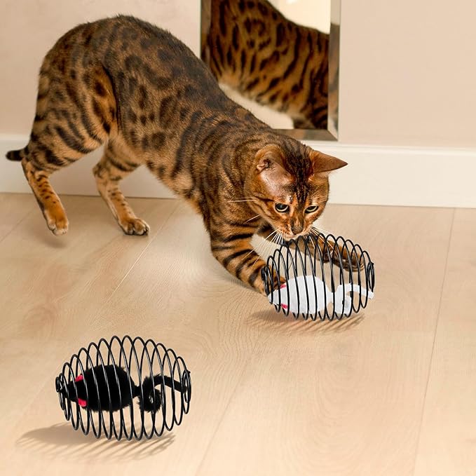 Jecery 5 Pcs Cat Spring Balls Toys Stretchable Rolling Balls Colorful Playful Coils Interactive Action Toy Caged Rats for Kitten Pet Supplies (Mouse,Black)