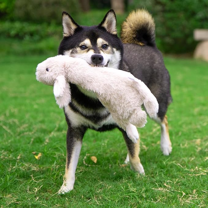 Best Pet Supplies Squeaky Dog Toys with Soft Durable Fabric for Small, Medium and Large Pets Interactive Toy for Indoor Play, Supports Active Biting and Play - Hare, Medium
