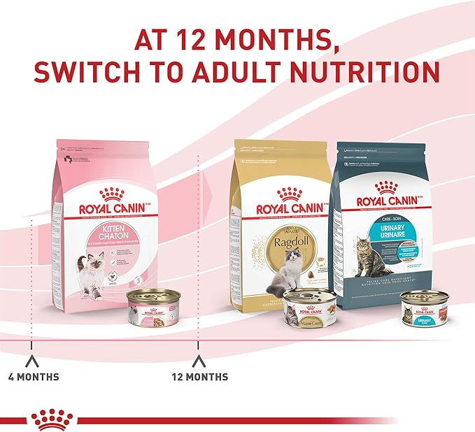 Royal Canin Feline Health Nutrition Kitten Thin Slices in Gravy Cat Food, 3 oz (Pack of 18)