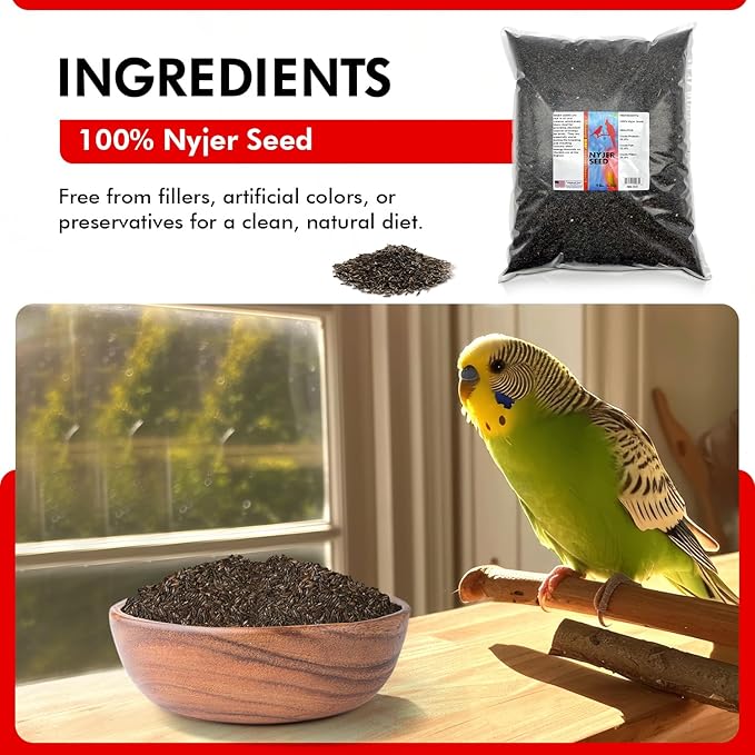 Morning Bird Nyjer Seed for Birds 9 lbs – Energizing Nutrition with Rich Natural and Healthy Fats – Ideal Bird Food for Breeding & Molting – Great for Canaries, and Other Seed-Eating All Birds