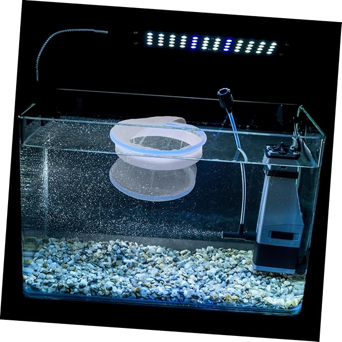 TOYANDONA 2Pcs Transparent Floating Hatchery Box Nylon Mesh Breeding Tank Dividers for Guppy Fry Isolation for Aquariums Fish Breeding Stable Design for Healthy