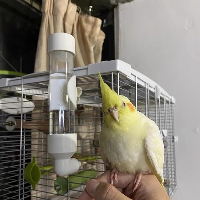 Bird Drinker Waterer Parakeet Water Dispenser for Cage Bird Drinking Water Bottle Parrot Automatic Drinking Device for Budgie Cockatiel Lovebirds Canary Finch (10.5oz/300ml)
