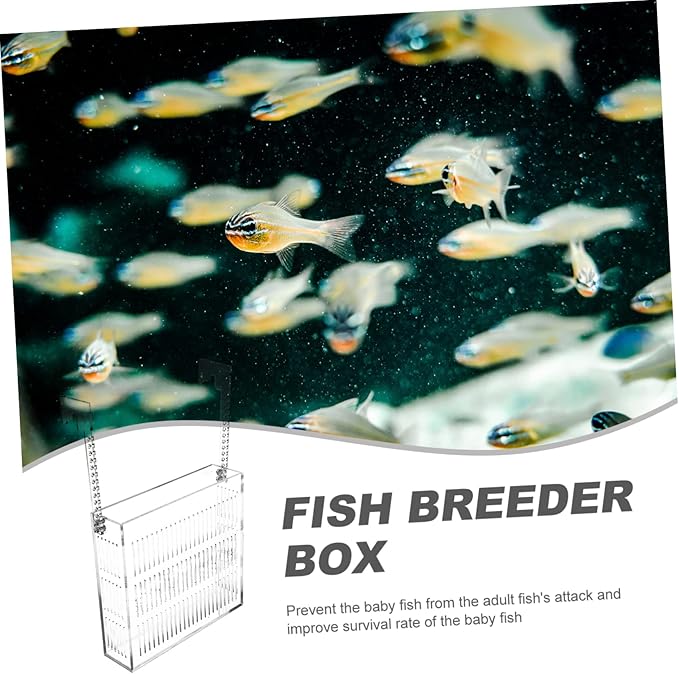 ERINGOGO Hanging Isolation Box for Guppy Breeding Acrylic Fish Tank Hatchery Easy Installation Hook Observation Design for Betta and Mini Parrot Fish