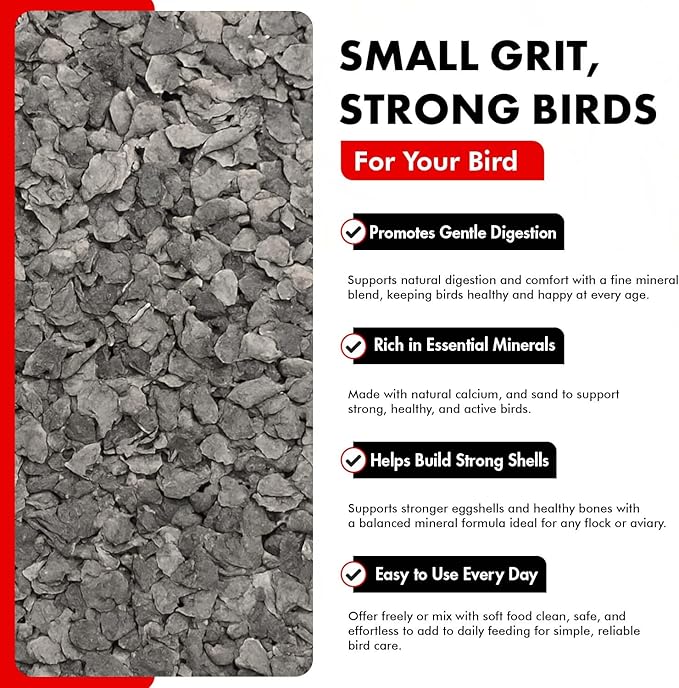 Morning Bird Poultry Grit for Birds 18 lbs (2-Pack, 9 lbs Each) - Mineral-Rich Supplement for Digestion & Calcium Support - Natural Poultry Feed Additive and Chicken Grit for Healthy Birds