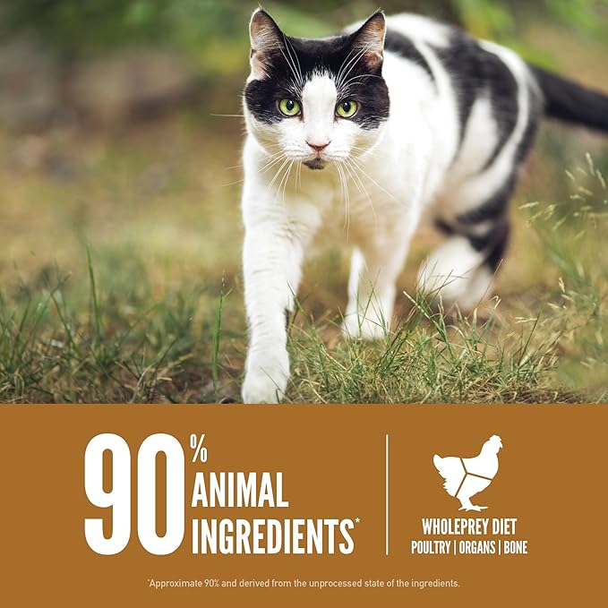 ORIJEN Grain Free High Protein Premium Dry Cat Food Original Recipe 4lb Bag