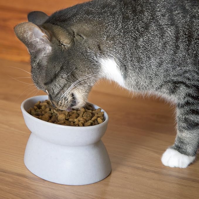 Kitty City Elevated Cat Bowls (Set of 2), Whisker-Friendly Raised Cat Food & Water Dishes, Modern Pedestal Design, Dishwasher Safe, 6.5 oz Each – White & Gray
