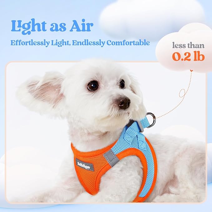 rabbitgoo Dog Harness Small Sized and Leash Set, Step in Soft Light Puppy Vest, Breathable Mesh Pet Harness, Reflective for Safe Easy Walking, Blue & Orange XXXS