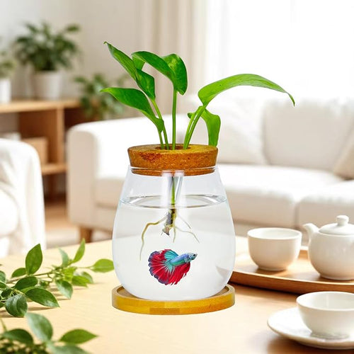 0.5 Gallon Fish Bowl Betta Fish Tank Glass Aquarium with Wood Lid & Bamboo Stand – Hydroponic Plants Planter, Glass Vase, Gift