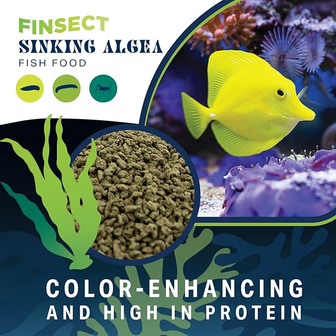 Sinking Algae Fish Food