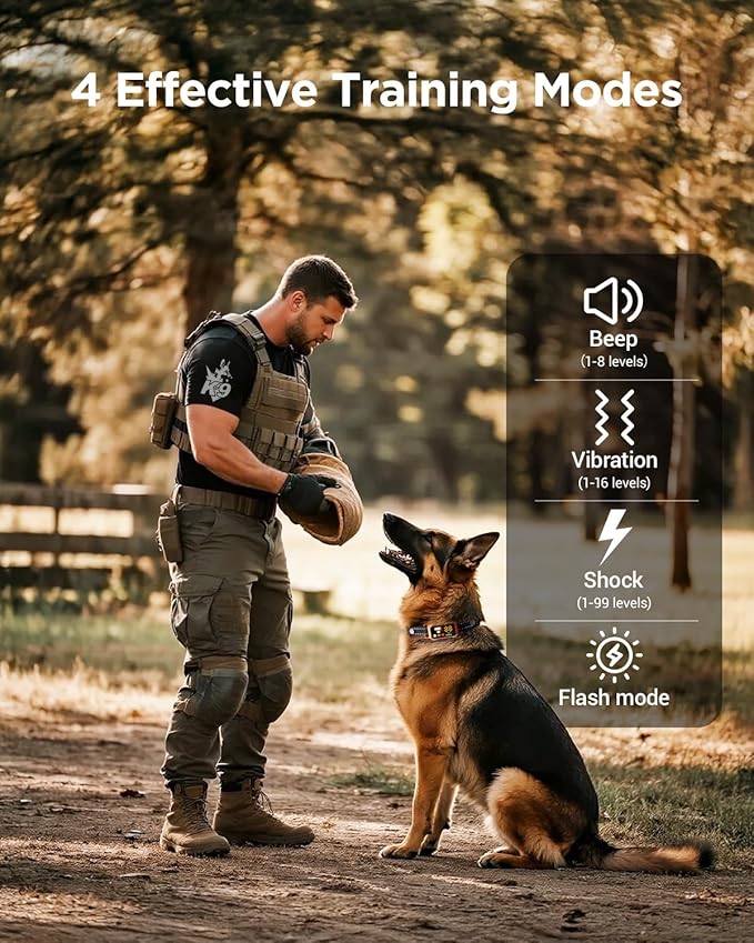BLACKDOG Dog Training Collar, 4200ft Armor-Proof Dog Shock Collar with Remote, IP67 Waterproof Dog E Collar with 4 Training Modes & Night Vision Dual-Light for All Breeds 5-150lbs (Orange)