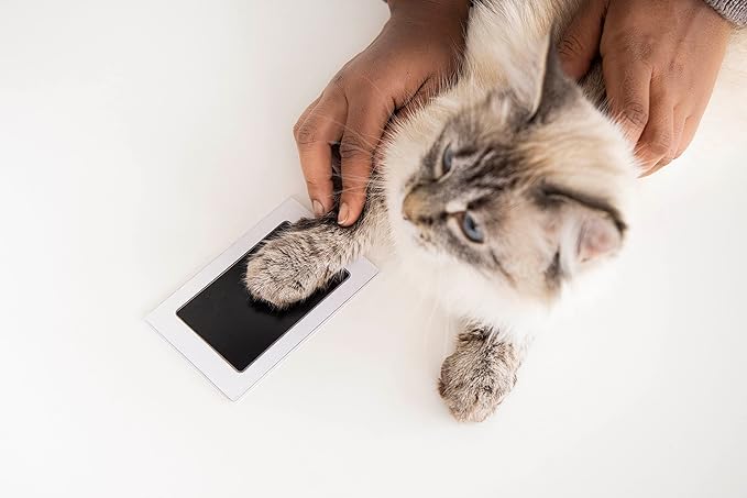 Pearhead Paw Print Clean-Touch Ink Pad, Mess Free Inkless Pet Impression Kit, Safe for Cats and Dogs, Pawprint Keepsake, Pack of 2