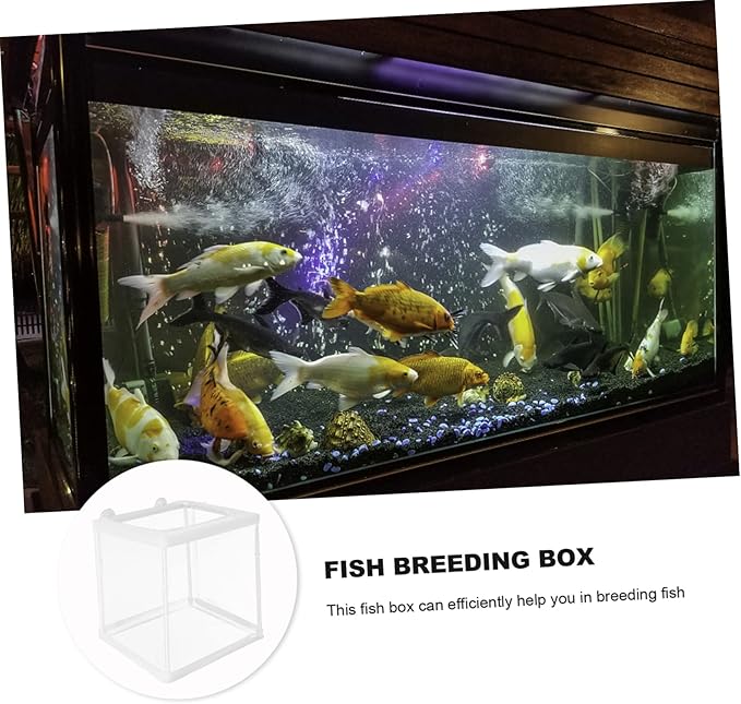 Incubation Box for Betta Guppy Mesh Breathing Fish Breeding Tank Aquarium Box Practical Incubator