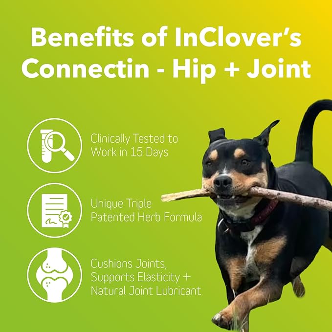 In Clover InClover Connectin Hip and Joint Supplement for Dogs. Combines Glucosamine, Chondroitin and Hyaluronic Acid with Herbs for Comfort and Mobility