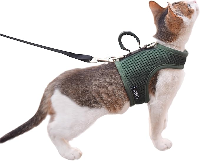 Cat Harness and Leash for Walking Escape Proof Breathable Mesh Fabric, Solid Green, Medium, Adjustable Cat Walking Jackets with Handle, Padded Stylish Cat Vest