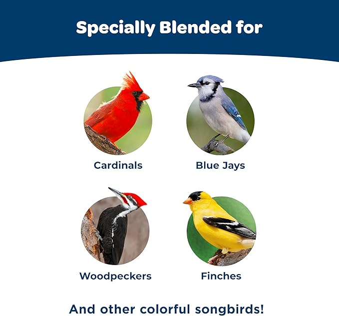 Kaytee Wild Bird Birders’ Paradise Seed Cake for Cardinals, Blue Jays, Woodpeckers, Finches and More, 2 Pounds, Pack of 4