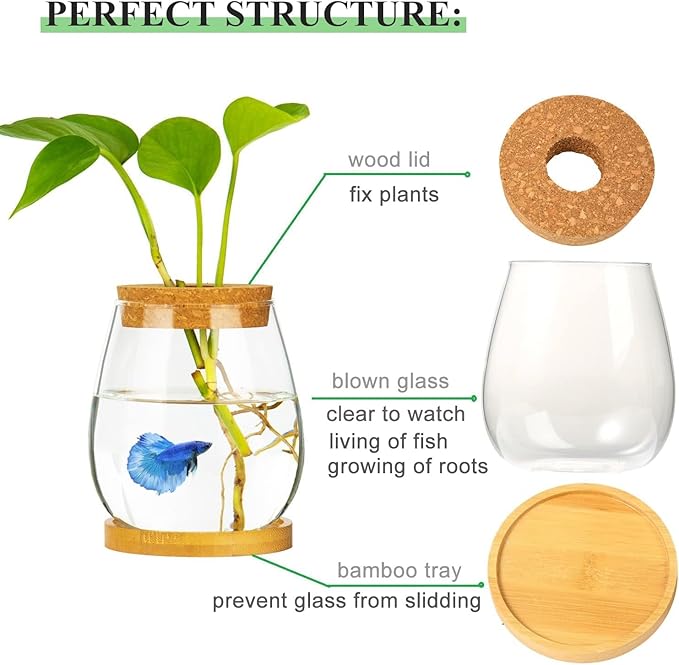 0.5 Gallon Fish Bowl Betta Fish Tank Glass Aquarium with Wood Lid & Bamboo Stand – Hydroponic Plants Planter, Glass Vase, Gift