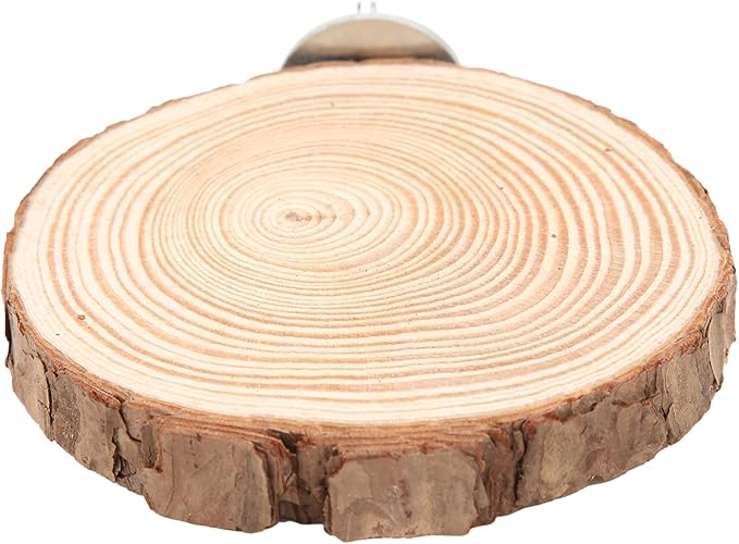 Round Wooden Spring Bird Board, Parrot Perches Stand Toy Bird Parrot Perch for Small Parakeets Cockatiels Hamster Cage Accessories (6cm)