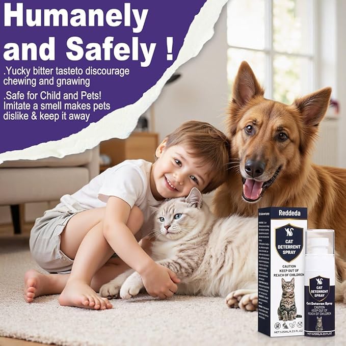 Cat Deterrent Spray - Indoor & Outdoor Anti-Scratch Training Spray for Cats & Kittens - Natural, Safe & Non-Toxic Formula to Protect Furniture