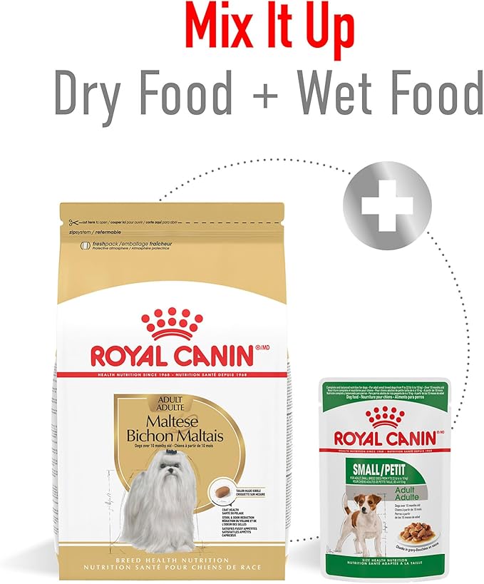 Royal Canin Breed Health Nutrition Maltese Adult Dry Dog Food, 10 lb Bag