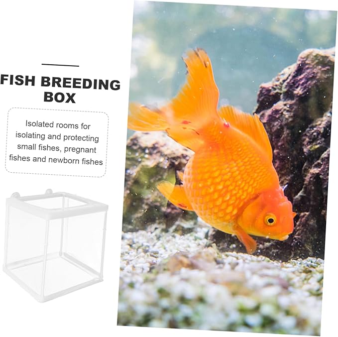 BESPORTBLE Breeding Incubator Box Mesh Fish Tank Breeding Tank Box for Betta Guppy Practical Aquarium