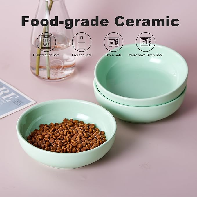 Howise 5.3 in Ceramic Cat Bowls Set, Shallow Food Bowl for Small Pets, Dish for Food and Water, Green
