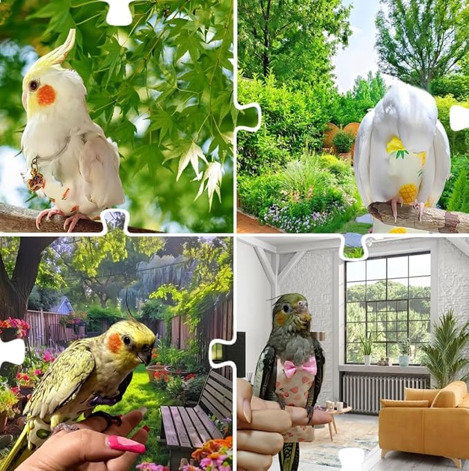 5 Pcs Bird Diapers Bird Harness Flight Suits Diapers Reusable Parrot Nappy with Waterproof Inner Layer Washable Cute Urine Wet Suit for Cockatiel Budgie Conure Macaw Parakeet Lovebird,M