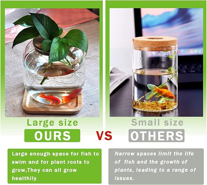 Fish Bowl Glass Small Betta Fish Tank with Bamboo Stand, Plant Propagation Station Hydroponic Terrarium with Lid Small Aquarium 0.6 Gallon