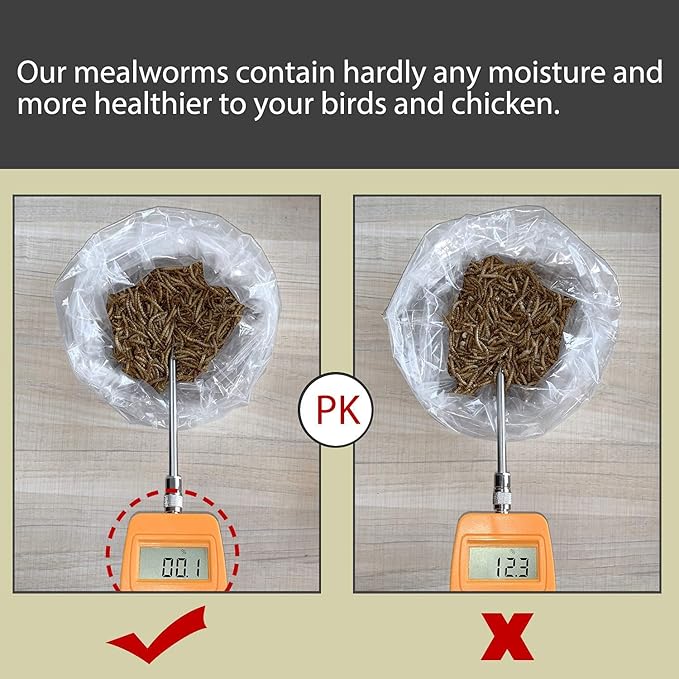 Non-GMO Dried Mealworms 5LB,100% Natural Large Size No Moisture,Treats for Birds Chickens Hedgehog Hamster Fish Reptile Turtles..