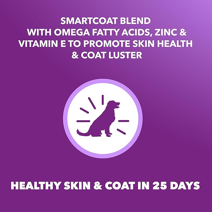 IAMS Advanced Health Skin & Coat Dry Dog Food, Adult Dog Food Dry Chicken and Salmon Recipe, 27 lb. Bag