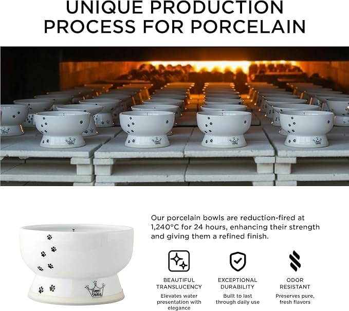 Necoichi Raised Cat Water Bowl, Elevated, with Measurement Lines, Dishwasher and Microwave Safe (Cat, Regular),White