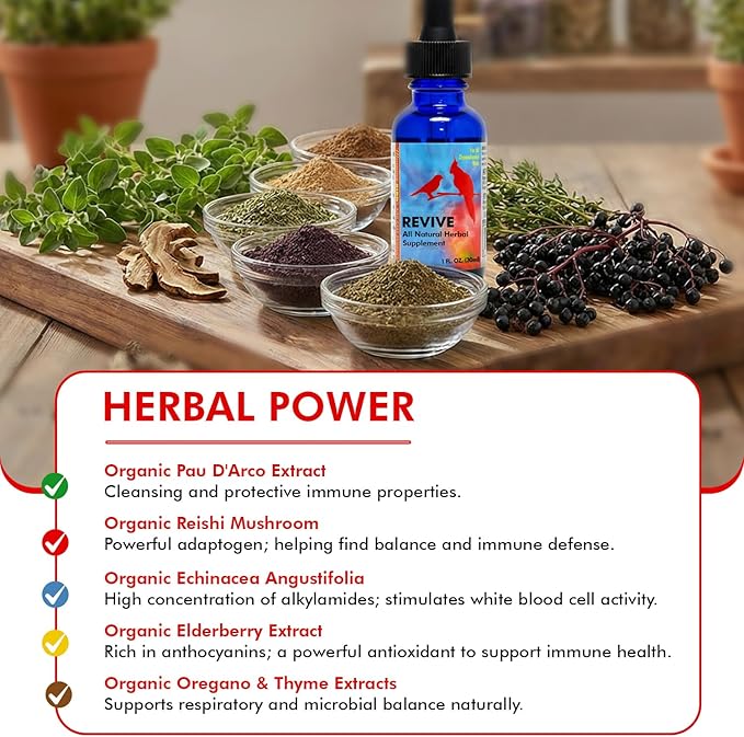 Morning Bird Revive 1 Fl oz – Herbal Extract Blend for Immune Support for Birds - Improved Liquid Formula for Optimum Immune Defense & Faster Absorption - Enhanced Digestive Health, Energy & Wellness