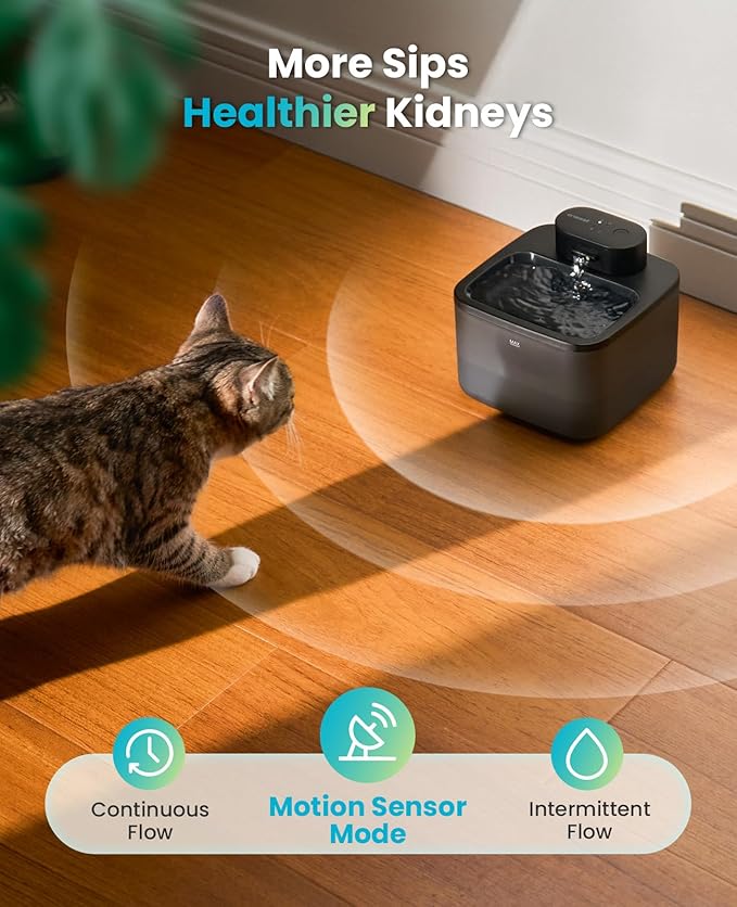 oneisall Wireless Cat Water Fountain: 74oz/2.2L Cordless Pet Water Fountains, 4000mAh Battery Operated Ultra-Quiet Integrated SilentFlow™ Pump for Cats Indoor, Automatic Cat Water Dispenser, BPA-Free