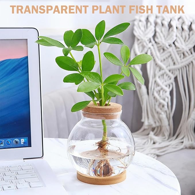 DOERDO Desktop Fish Bowl Landscape Bottle Mini Glass Terrarium Clear Glass Small Fish Tank for Small Betta Fish Plants, 7x5.9 Inch