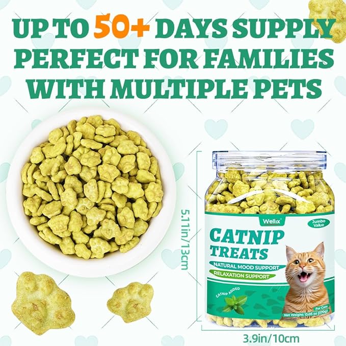 Wellix 13.05oz Catnip Treats for Cats -Healthy Cat Treats for Indoor Cat with Digestive Support - Crunchy Kitten Snacks for Training Biscuits,Food Toppers,Dental Chews with Real Salmon