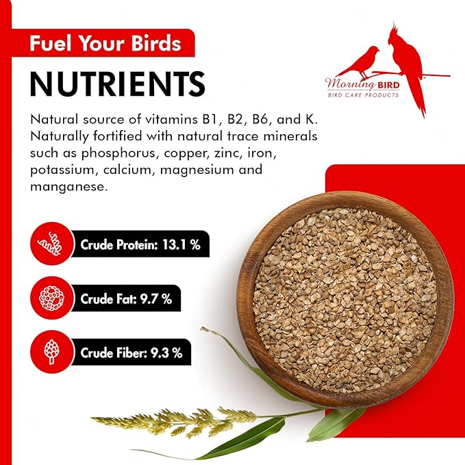 Morning Bird Japanese Millet Seed Bag 9 lbs - Healthy & Nutritious Pet Bird Food to Support Health & Immunity - Delicious Unique and Natural Flavor – Ideal Bird Feed for All Seed Eating Birds