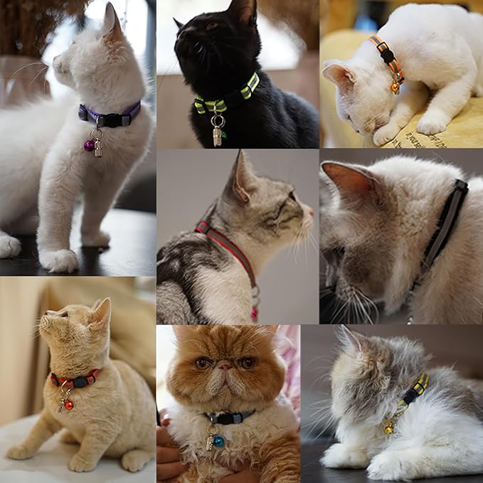 14 Pack Set Kitten Collars Breakaway with Bells,Reflective Safety Cat Collar,Ideal for Puppy, Girl Boy Cats,with Name Tag,Adjustable for Small Animal,Pet Supplies(12 Colors & 2 ID Tags)