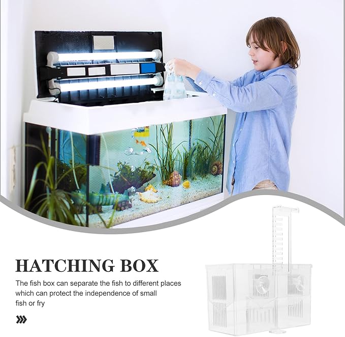 BESPORTBLE Fish Breeding Hatchery Box with Hooks, Aquarium Isolation Nursery Tank, Dual-Chamber Incubator for Tropical Fish Fry and Guppy Breeding in Home Aquariums