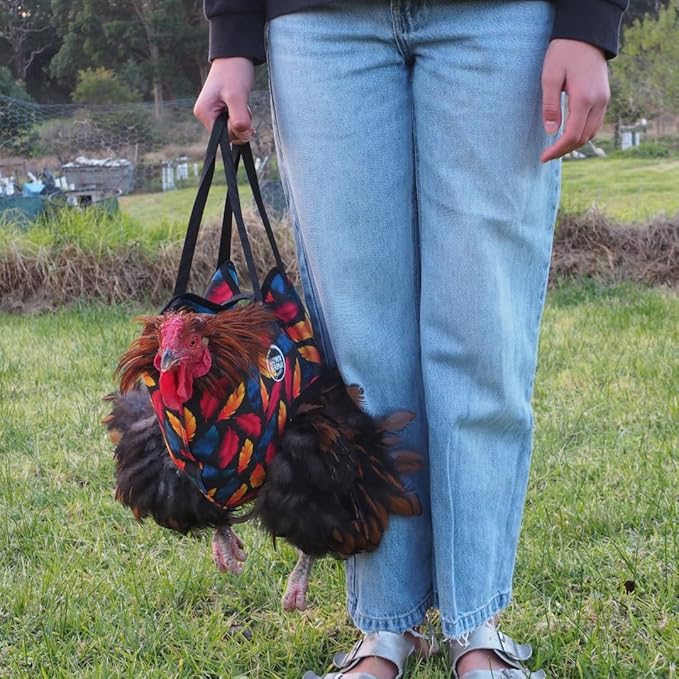 DOWN UNDER OUTDOORS Chicken Carrier Sling Holder Bag with Handle, Chicken Accessories for Foot Treatment, Medic, Leg Injuries, Bumblefoot, Poultry Farm Carrying, Transport, Three Sizes (Medium)