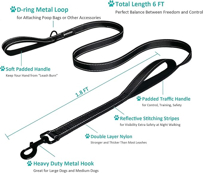 Heavy Duty Dog Leash - 2 Handles by Padded Traffic Handle for Extra Control, 6foot Long - Perfect for Medium to Large Dogs (6 ft, Black Red)