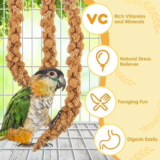 KATUMO 2LB Spray Millet Treat for Pet Birds, Natual Sun-Dried Bird Millet Parrot Food for Parakeet Budgie Cockatiel Finches Lovebird Conure Parrots Hamster