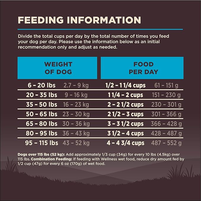 Wellness CORE Adult Dry Dog Food, Grain Free Kibble, Natural, High Protein, Chicken Free, Whitefish, Herring and Salmon Recipe, 12 lb Bag