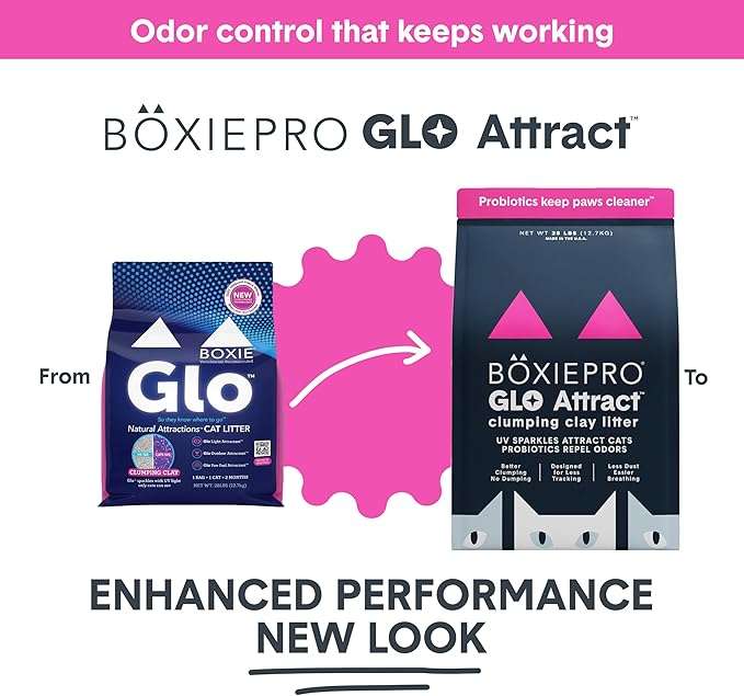 Boxie Glo Clumping Clay 30 Day Odor Control Cat Litter, 99.9% Dust-Free, Low Tracking, UV Light Attractant, 40 lb