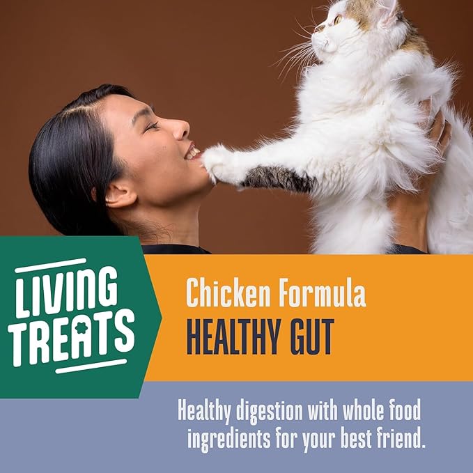 Whole Life Pet Living Treats for Cats – Healthy Gut with Chicken and Yogurt – Human Grade, Probiotics, Easy Digestion, Sensitive Stomachs - Made in The USA (Pack of 2)